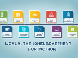 Local Government Structures